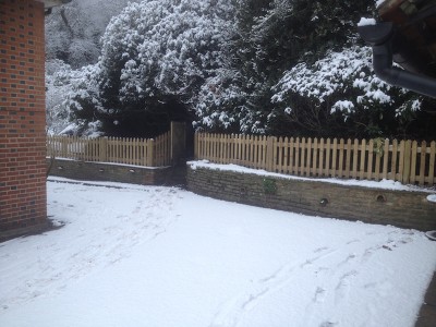 Fencing in Bookham